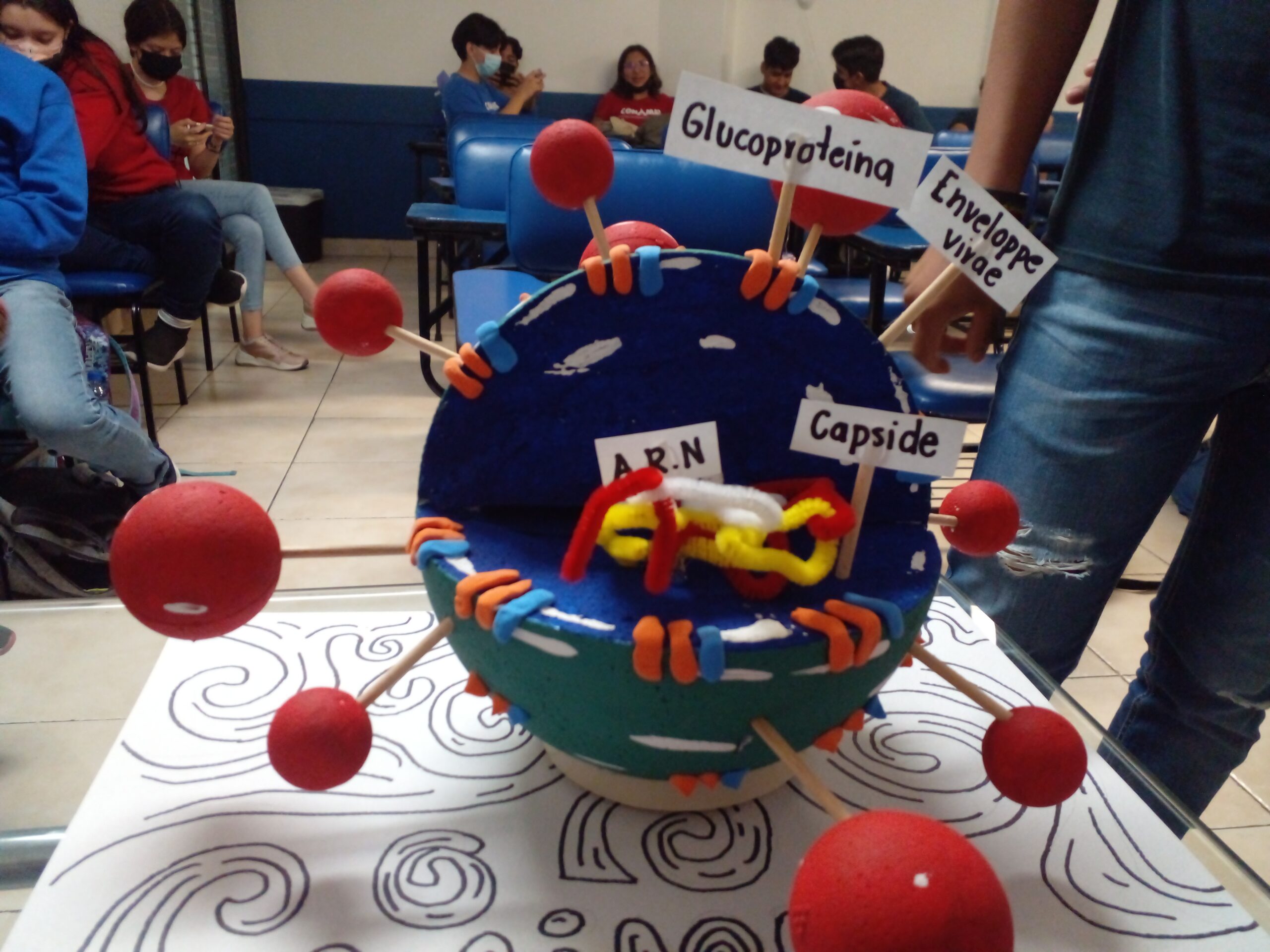 Bachillerato